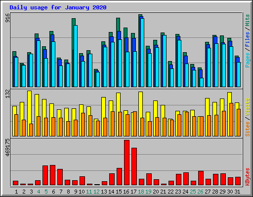 Daily usage for January 2020