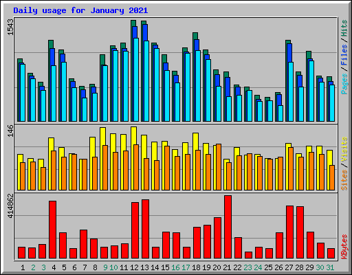 Daily usage for January 2021