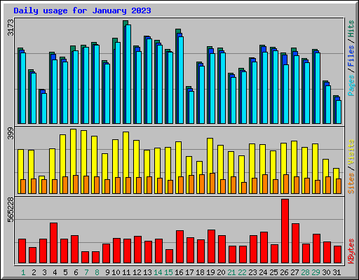 Daily usage for January 2023