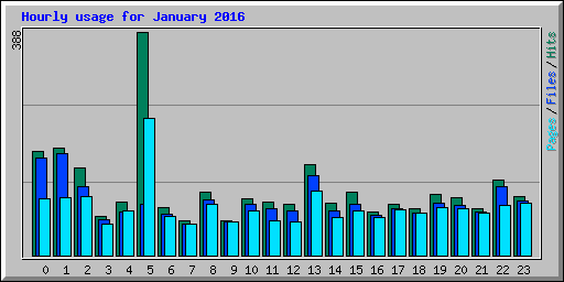 Hourly usage for January 2016