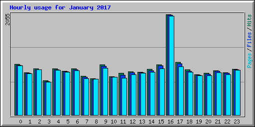 Hourly usage for January 2017