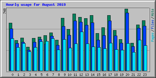Hourly usage for August 2019