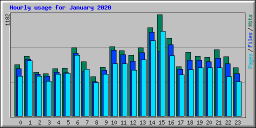 Hourly usage for January 2020