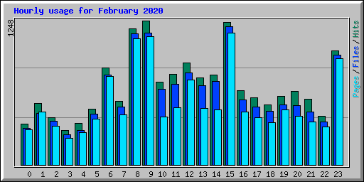 Hourly usage for February 2020