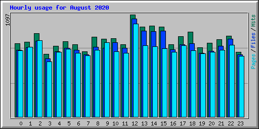 Hourly usage for August 2020