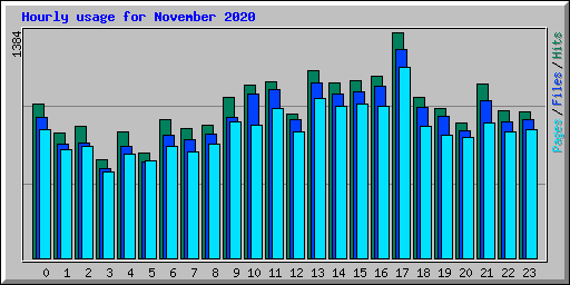 Hourly usage for November 2020