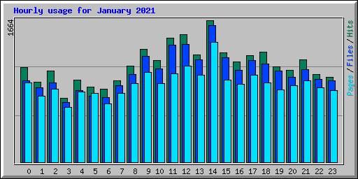 Hourly usage for January 2021