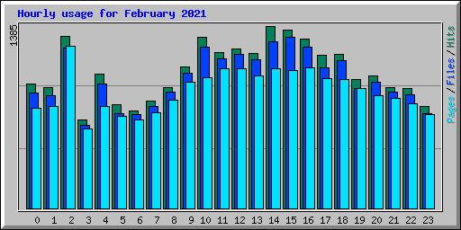 Hourly usage for February 2021