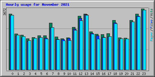 Hourly usage for November 2021