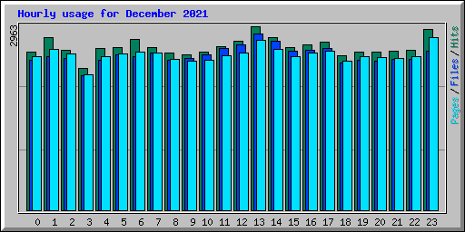 Hourly usage for December 2021