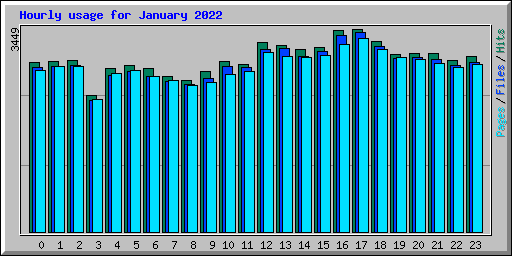 Hourly usage for January 2022