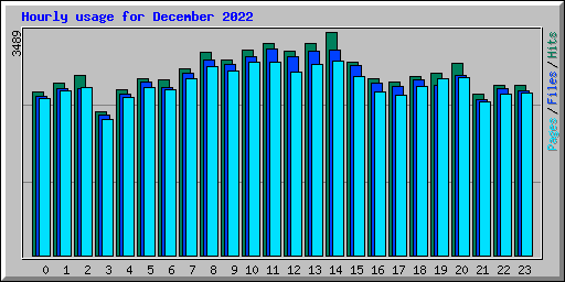 Hourly usage for December 2022