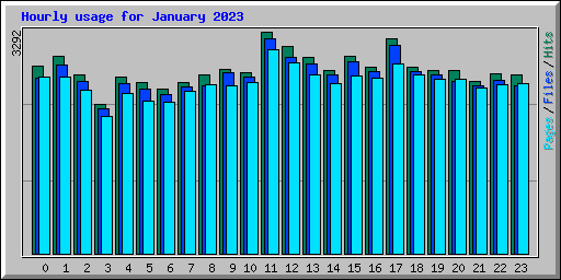 Hourly usage for January 2023